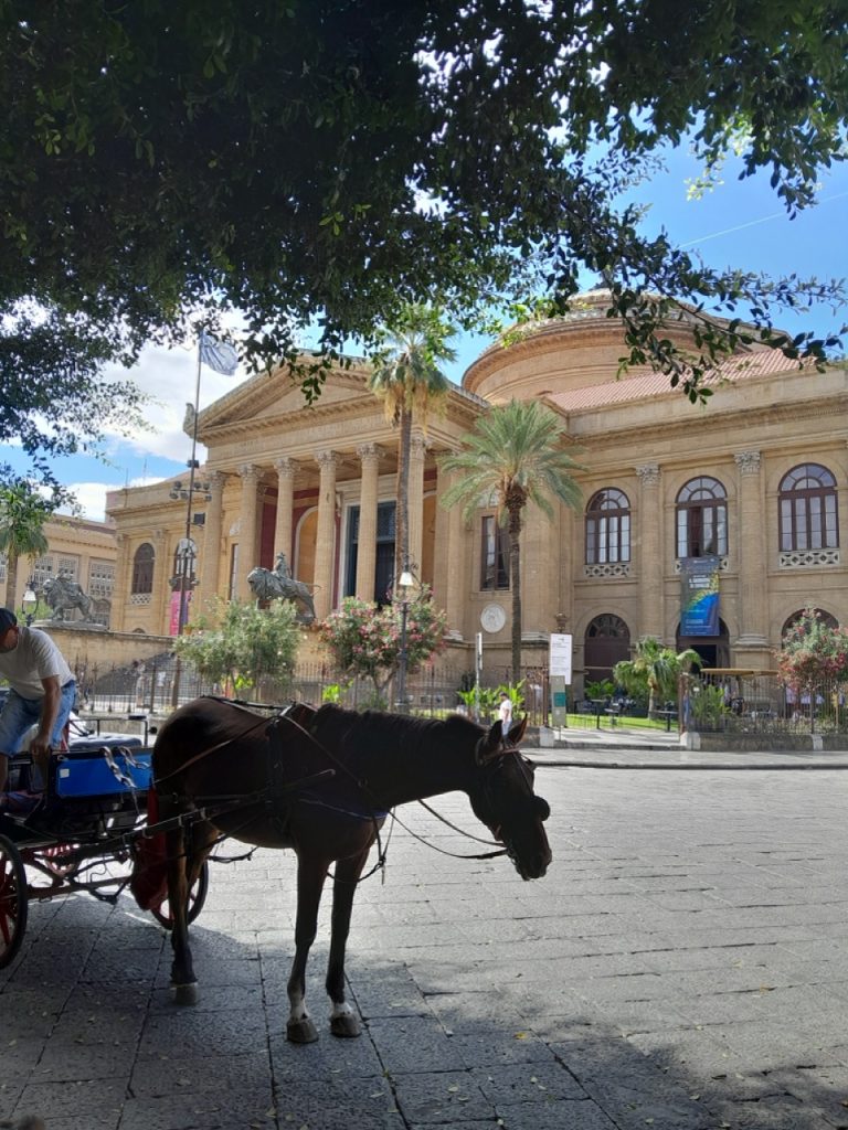 Groß (20250923 115734)